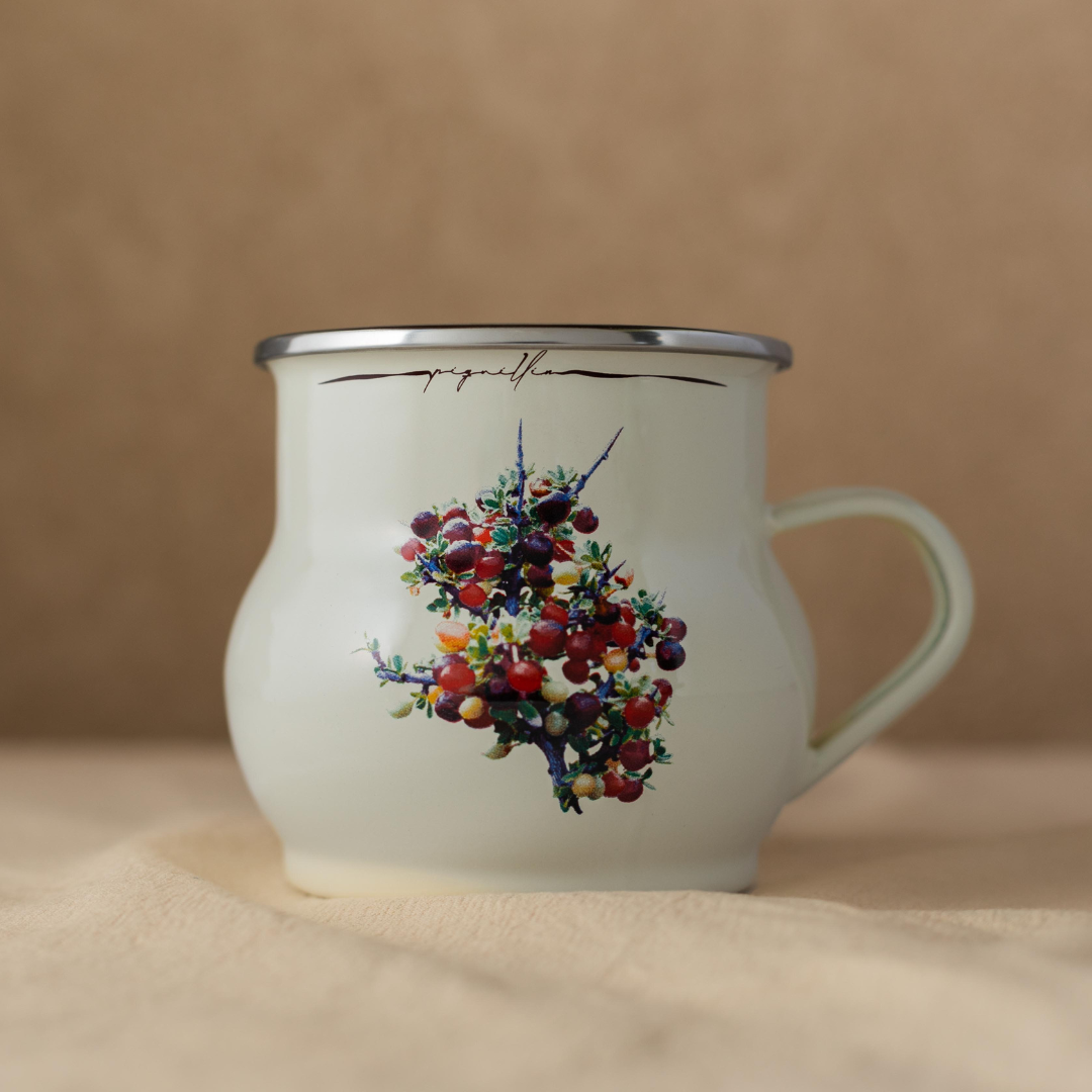 Piquillin Mug With Silver Ring 20 oz